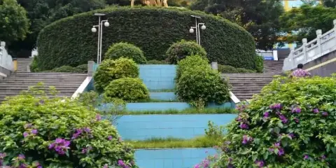 鳳凰廣場