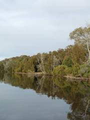 Lake Macquarie State Conservation Area Morriset
