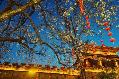 广元接官亭客栈·饭庄