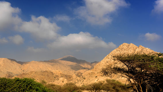 Wadi Shehah