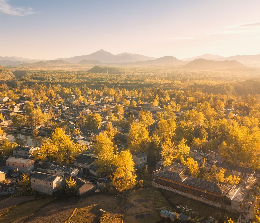 Ginkgo Village