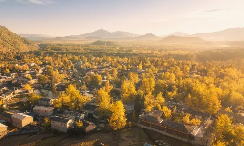 Tengchong Ginkgo Trees