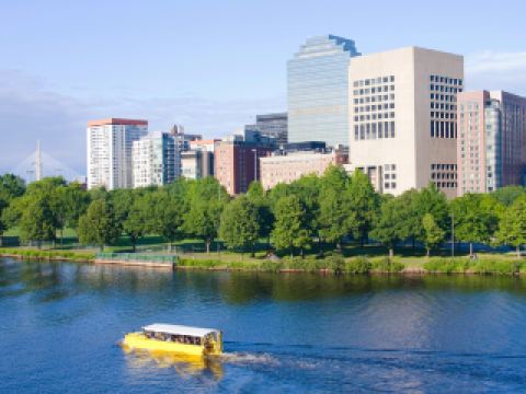 Hotels Near The Black Rose