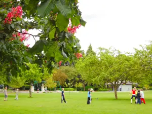Julius M. Kleiner Park