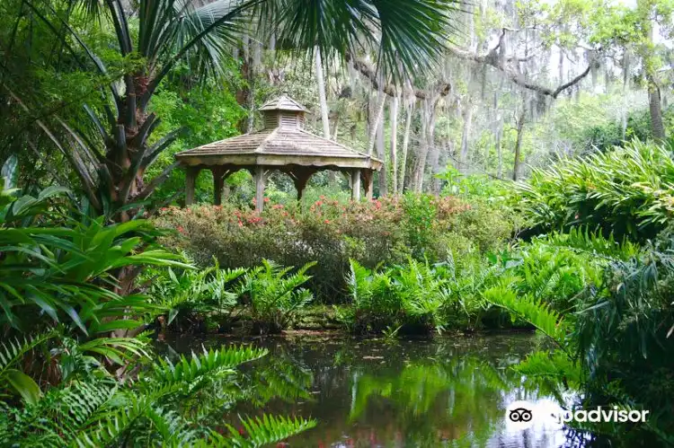 Hotels near Washington Oaks Gardens State Park
