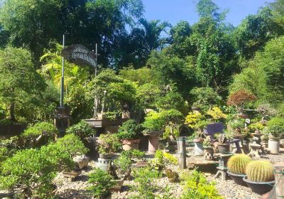 Hidden Garden