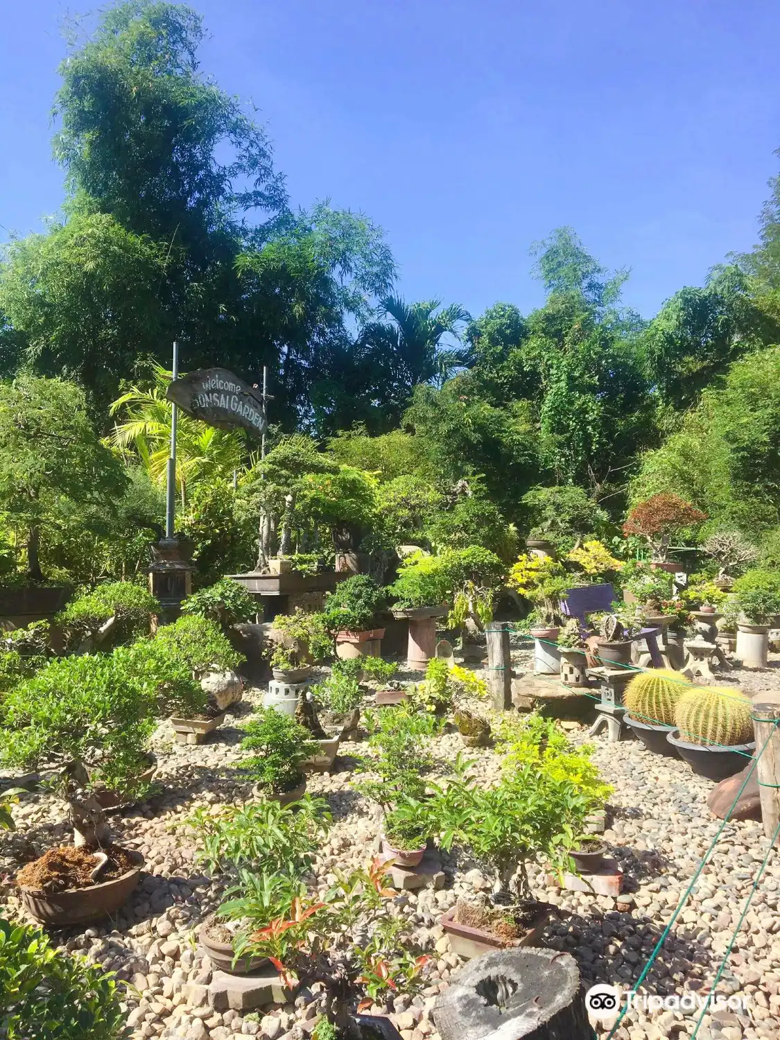 Hotels in der Nähe von Hidden Garden