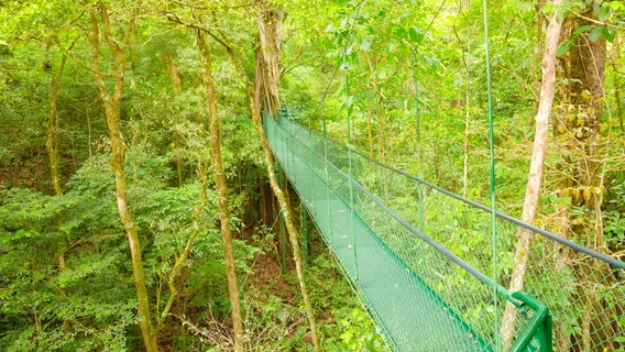 Natura Eco Park - Costa Rica