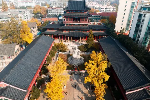비로사