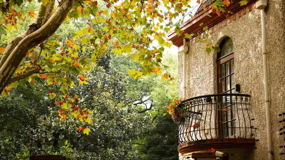 上海私人導遊服務（東方明珠＋黃浦江遊船等景點陪同講解＋1V1導遊陪同＋景點隨意搭配）