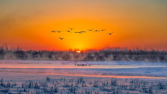 Sunrise Sightseeing in Jiuquan