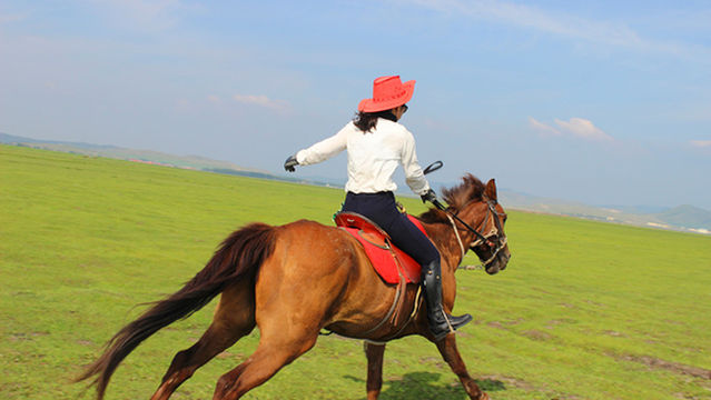 tong hu lu ba gong li qi ma chang hu wai ying di