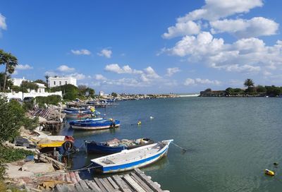 Punic Ports of Carthage