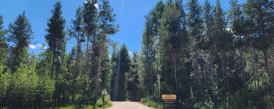 Alpine North Loop Campground