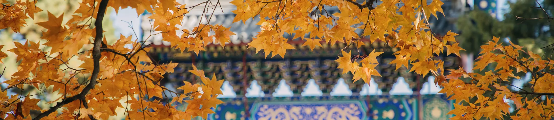 Fall Viewing Attractions