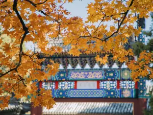 香山公園