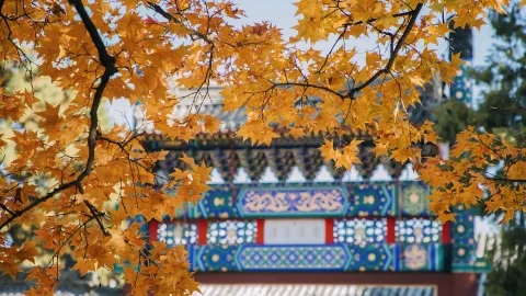 Xiangshan Park attraction in Beijing