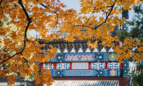 Xiangshan Park