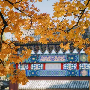 Xiangshan Park