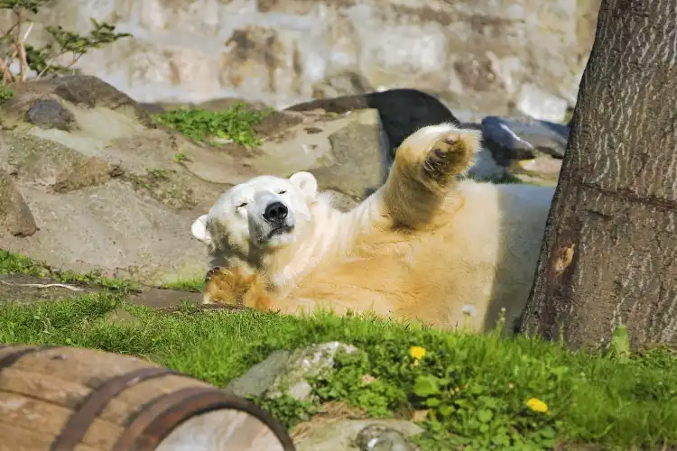 Các khách sạn gần Edinburgh Zoo
