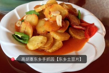 高胡赛东乡人家