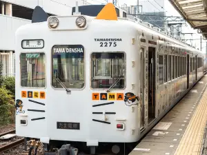 Kishigawa Line-Tama Train
