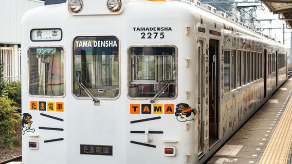 Kishigawa Line-Tama Train