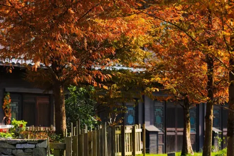 단자이 완다 마을