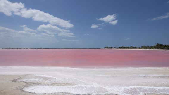 Playa Las Coloradas