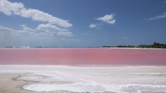 หาดลาส โคโลราดาส เม็กซิโก