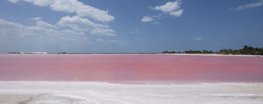 Playa Las Coloradas