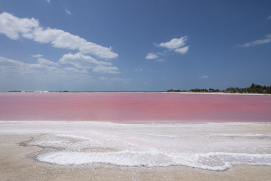 Playa Las Coloradas
