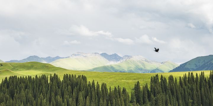 Tangbula National Forest Park