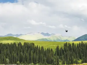Tangbula National Forest Park