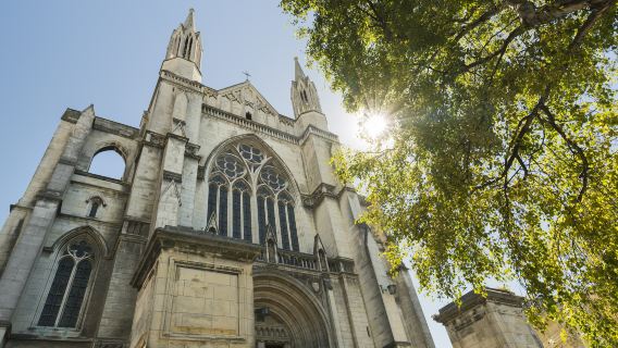 St Paul's Cathedral
