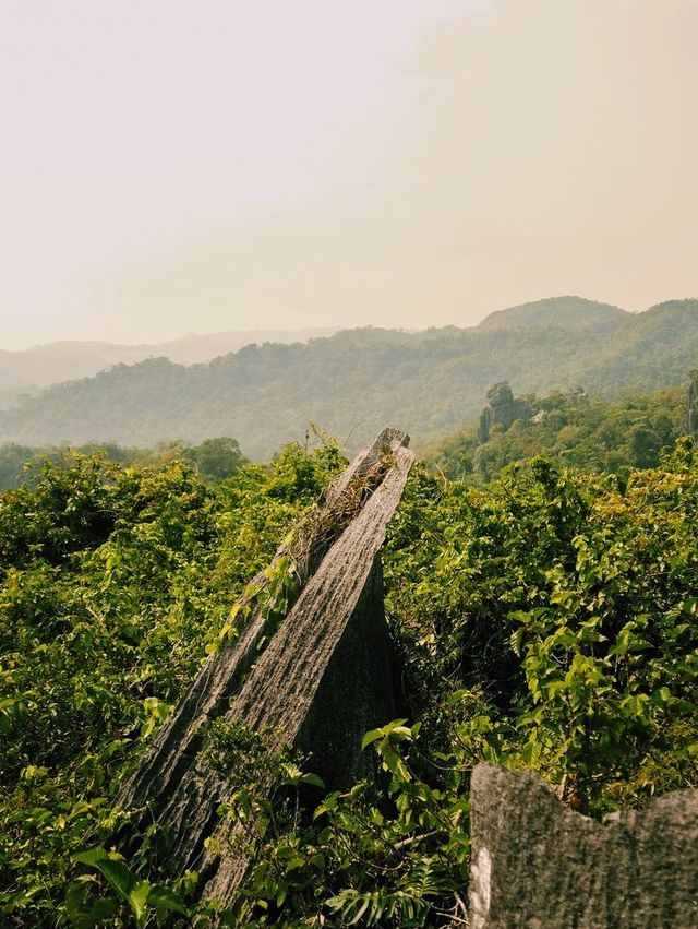 Rainforest hiking adventure