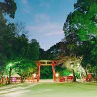 京都　下鴨神社