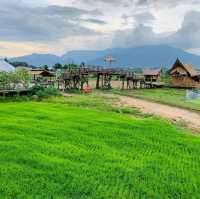 ฮักน่าน คาเฟ่กลางทุ่งนาวิวภูเขา 360 องศา