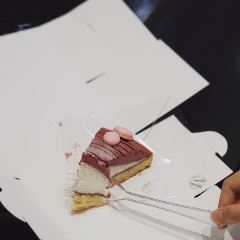 Lady M 여행 사진