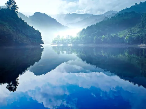 陽明山國家森林公園