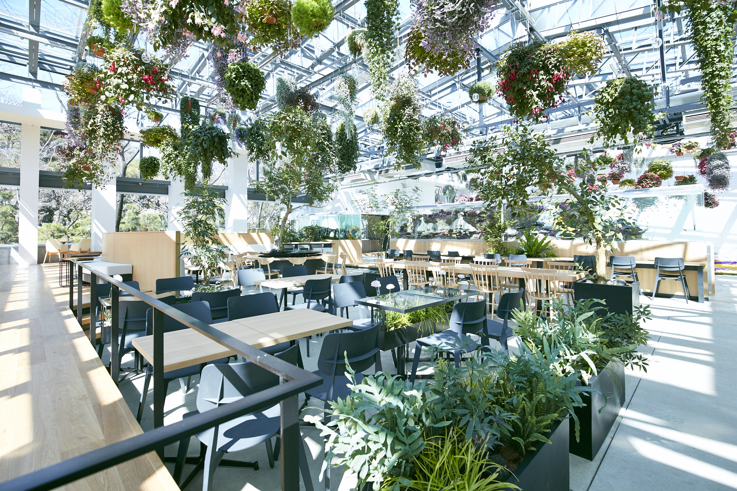 東京 HANA·BIYORI 入場Eチケット 予約