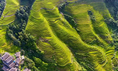 Terraced Fields Viewing in Longsheng