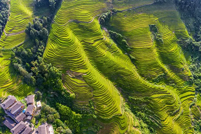 Terraced Fields Viewing in Longsheng