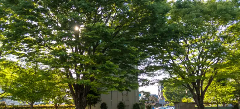 春日部のホテル