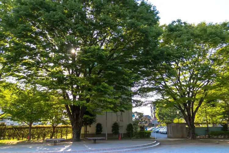 Kasukabe