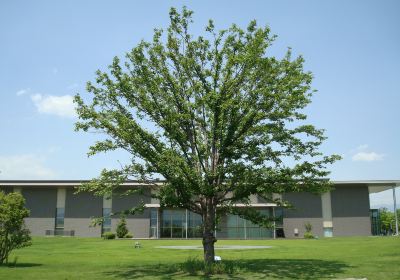 Museo della Prefettura di Yamanashi