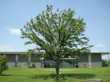 山梨県立博物館