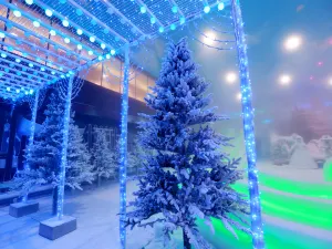 世界之窗-阿爾卑斯冰雪世界