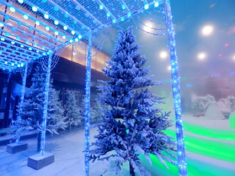 世界之窗新春攻略：九日狂歡盡享潮玩互動