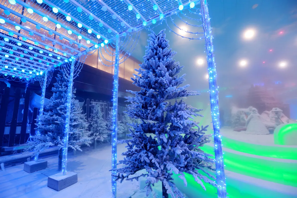 3_Alps Ice and Snow World